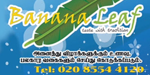 Banana leaf