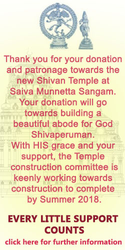 sms-donation-ad-en