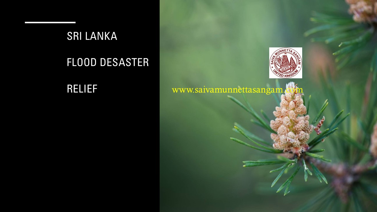 Sri Lanka Flood Disaster Relief 